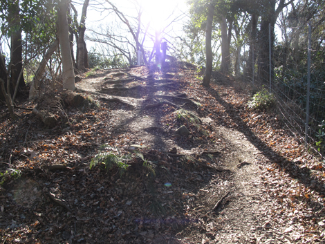 20170126hike (92)